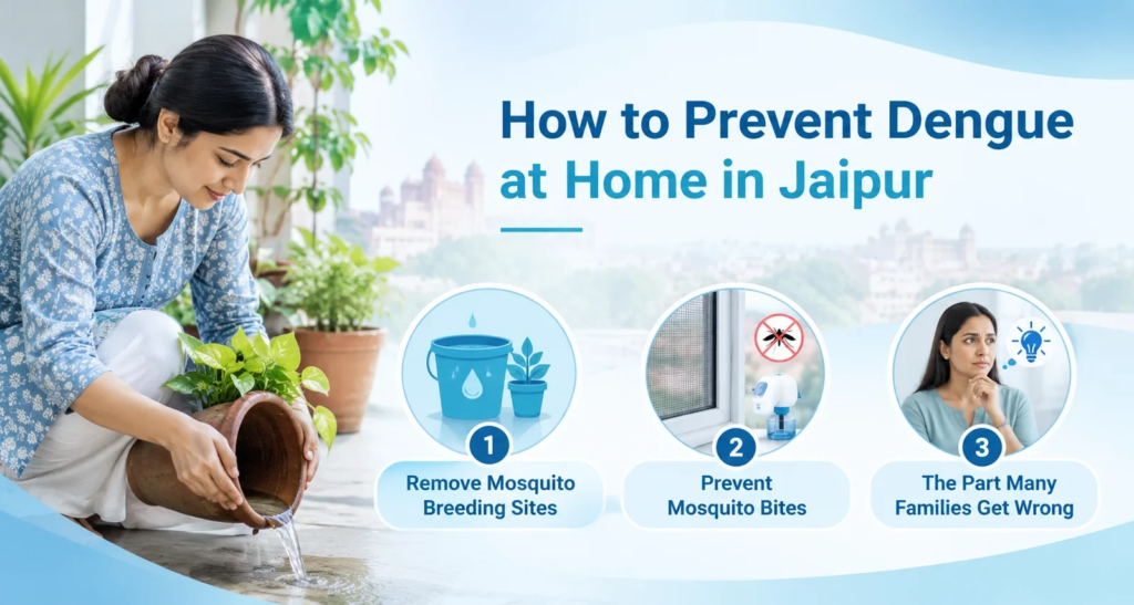 Prevent Dengue at Home in Jaipur
